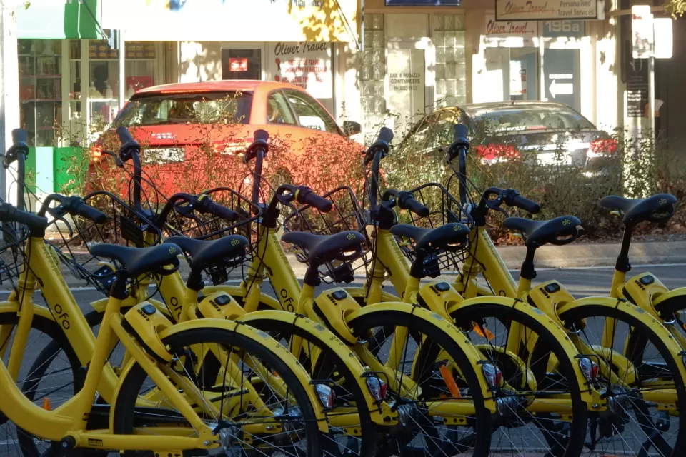 Ofo Bikes